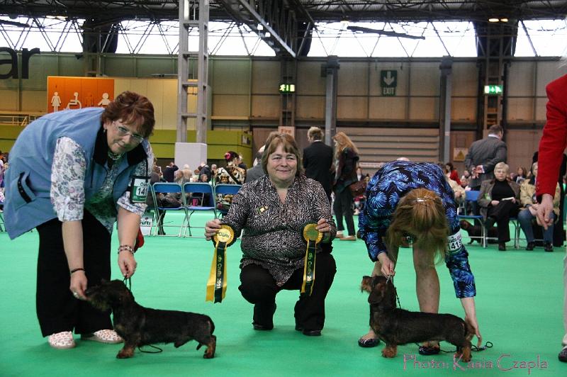 Crufts2011_2 956.jpg